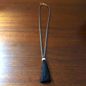 J.Crew Statement Long Tassel Necklace